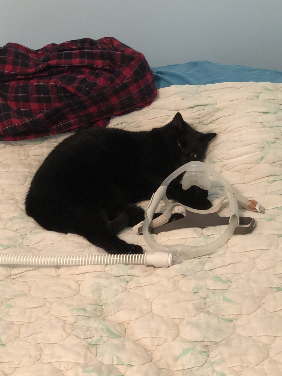 markwgreenMF's tweet photo. Now how does this CPAP thing work? #cpap https://t.co/xxBZ9ICOSW