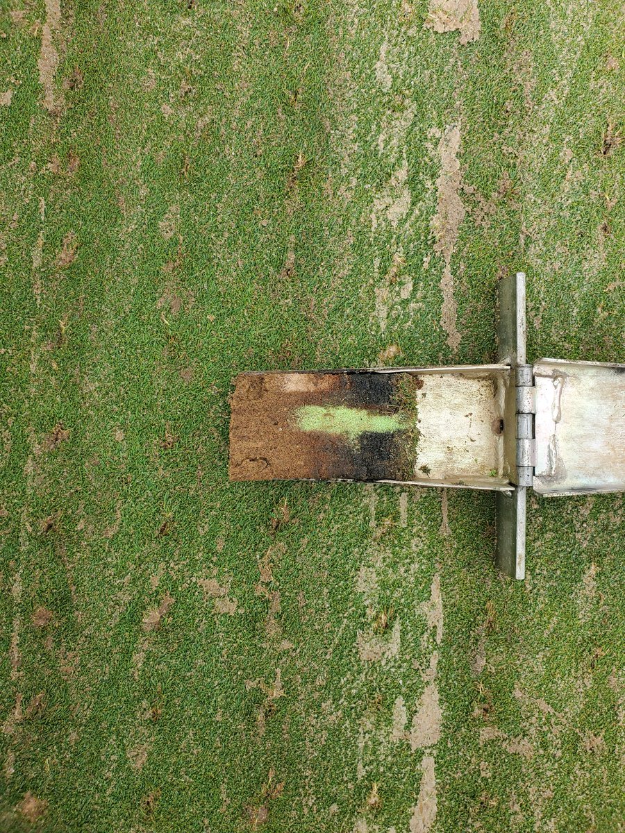 Phillip Majernik tweet media