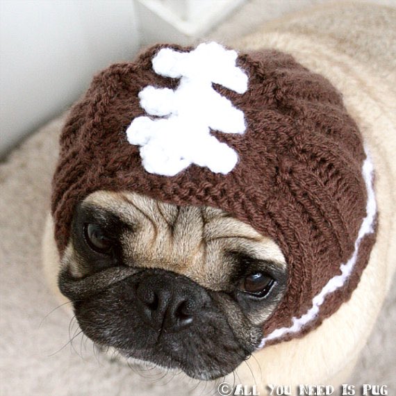 if you like pug in hats open this thread <33