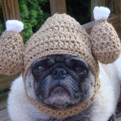 if you like pug in hats open this thread <33