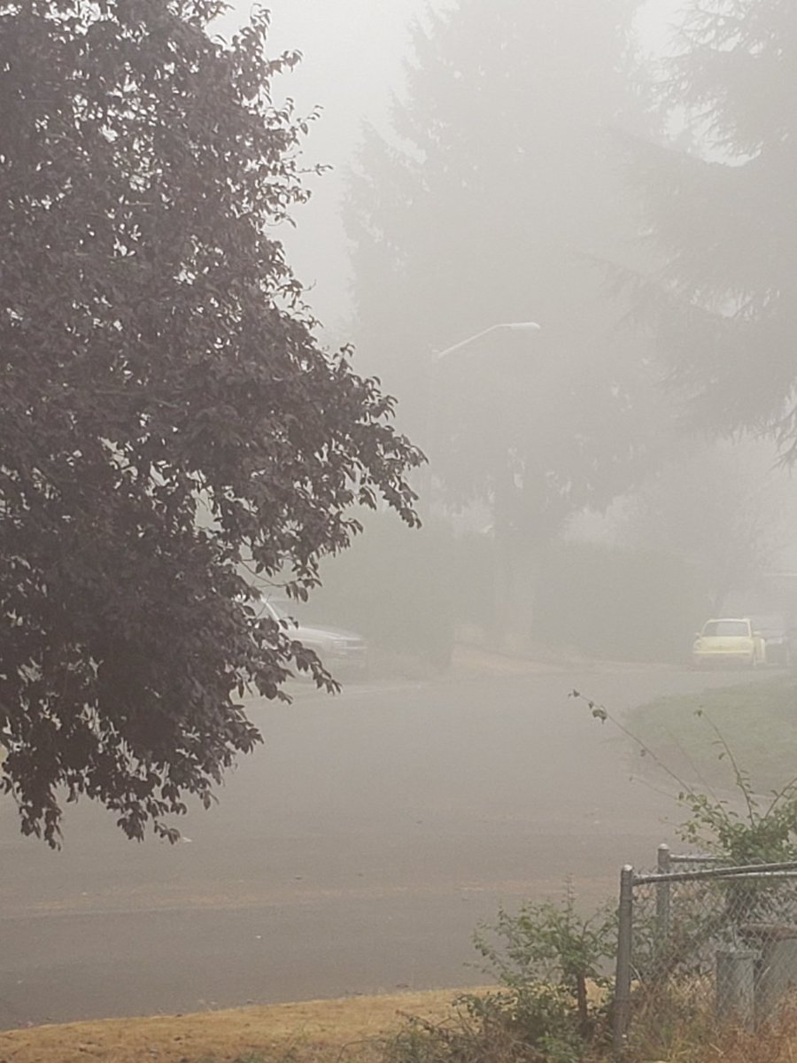 virtuallyleslie's tweet photo. View from my house today from #wildfires that are in #Oregon, #California, and #Washington. I think we may need to prepare for this being the #newnormal. Thoughts?
#climatechange #newnormalnow #wildfireseason https://t.co/qlc1yToJey
