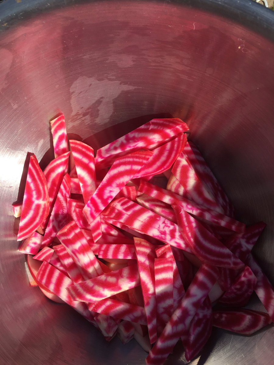 TinaBakerBooks's tweet photo. Either
A) ‘Candy Beetroot’ is an actual thing
B) I’m having a flashback
C) I’ve accidentally killed Bagpuss
#newbiecook #foodporn https://t.co/xsTUnVqo3t
