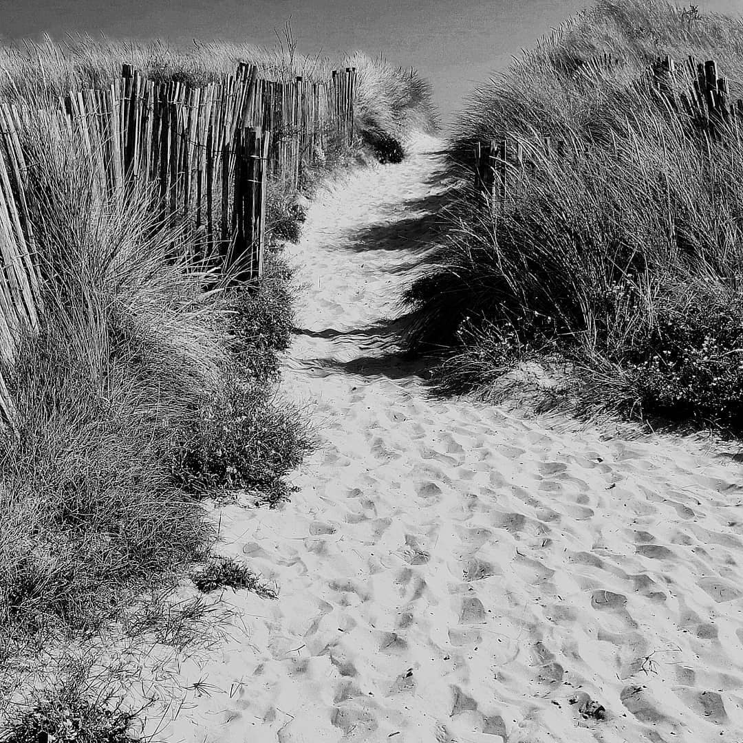 d_keano's tweet image. Wander along Greatstone beach #greatstone #beach #kent #walks