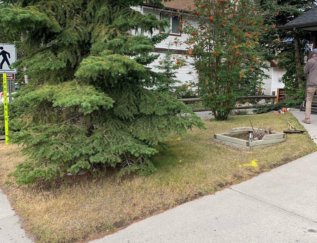 TAKE A LOOK at this low maintenance front yard out in beautiful Canmore, AB. This client needed a walkway for her rental suite &amp; was tired of cutting the lawn. Now, thanks to Three Sisters Landscape Company, she has a <a href="/ExpocreteCDN/">Expocrete</a> Roman paver walkway. Swipe 👉 for before photos.