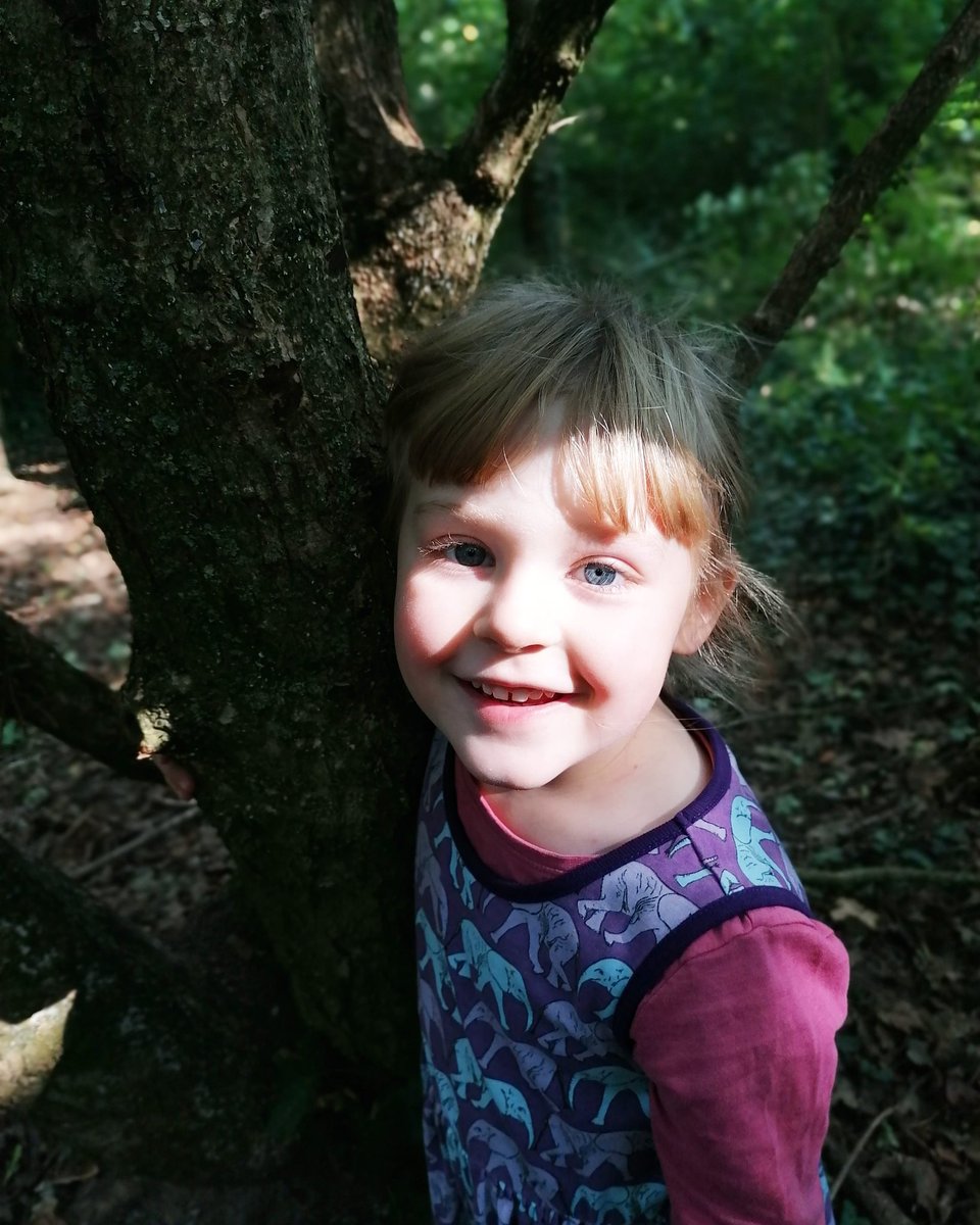 PoopCryLullaby's tweet photo. Tree climbing with my favourite little lady!
#tree #nature #treeclimbing #climb #love #dad #daddy #daughter #woods #woodland #play #cute https://t.co/XHRMTY9c2g