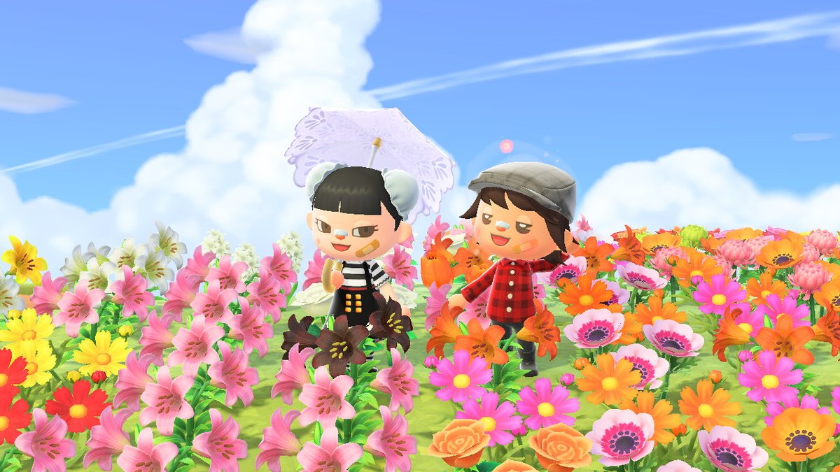 LWondr's tweet photo. yeah  #AnimalCrossing #ACNH #NintendoSwitch https://t.co/cucQ45EUnu