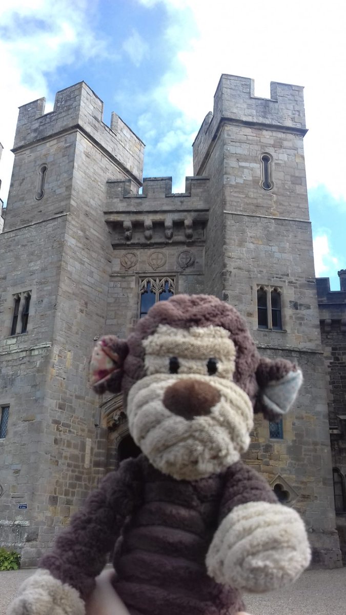 cricket_monkey's tweet photo. Great day out at @RabyCastle. Loads to see, lovely gardens and super friendly staff! Fantastic!🐵👍 https://t.co/sBaJ52WznO