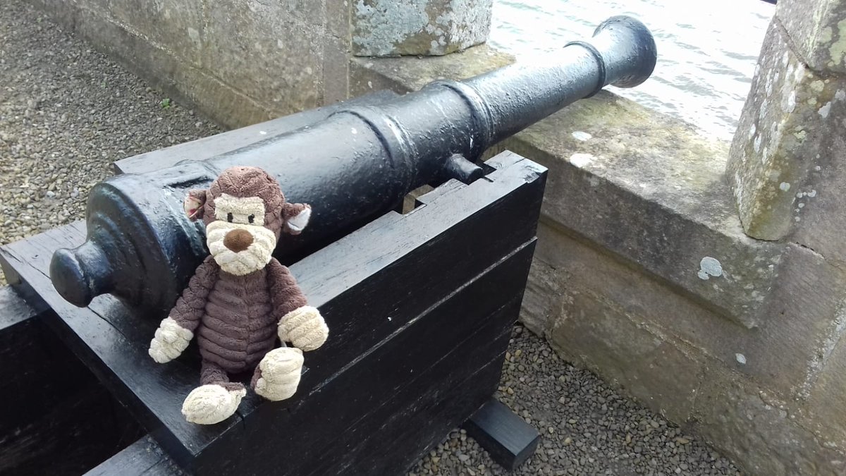 cricket_monkey's tweet photo. Great day out at @RabyCastle. Loads to see, lovely gardens and super friendly staff! Fantastic!🐵👍 https://t.co/sBaJ52WznO