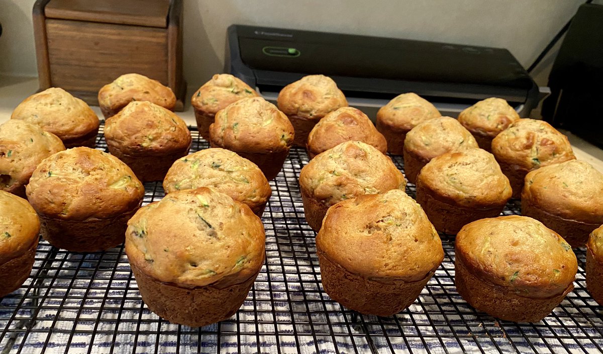 feralcatgang's tweet photo. Mom turned a plate of grated zucchini into zucchini, walnut and raisin muffins. https://t.co/a57J943MAu