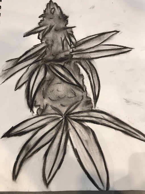Weed art from the weed store #marijuana #art https://t.co/xcKKduXvQa<a href="/tag/marijuana"class="tags">#marijuana</a><a href="/tag/art"class="tags">#art</a>
