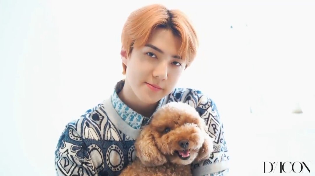 PLEASE  MY BABY IS SO CUTE, PRETTY AND BEAUTIFUL AND FOR WHAT??? SEHUN, FOR WHAT??? MAN, SEHUN IS NOT REAL  #SEHUN    #세훈    #엑소세훈