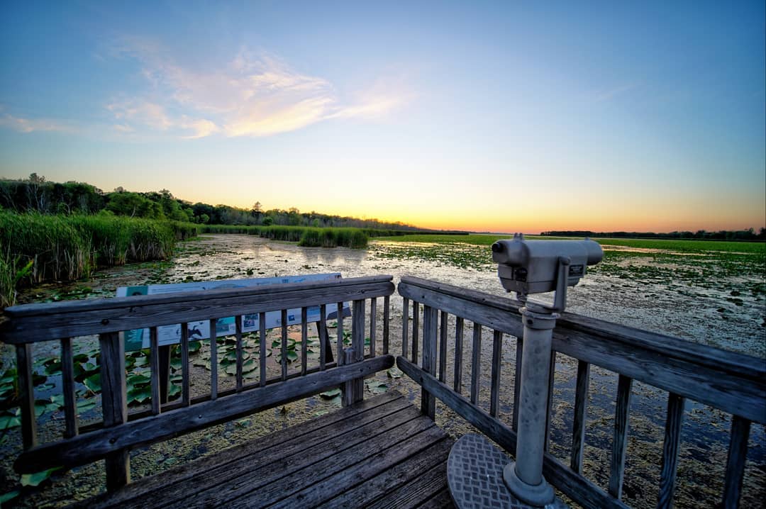 gogreatlakesbay's tweet photo. Tobico Marsh at the golden hour is breathtaking 💛

📸: @baycitymilove https://t.co/DuQj0C6pUJ