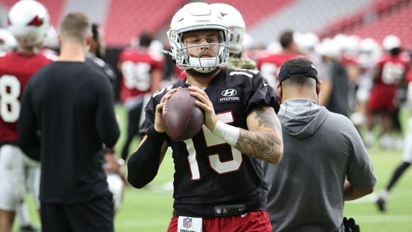3DownNation's tweet photo. Chris Streveler backup QB for #Arizona #Cardinals in first career #NFL game via @JDunk12 https://t.co/Rz5CMtp86m  #RedSea #AllAZ #Winnipeg #Bombers #ForTheW #CFL https://t.co/DgzEzXVvih