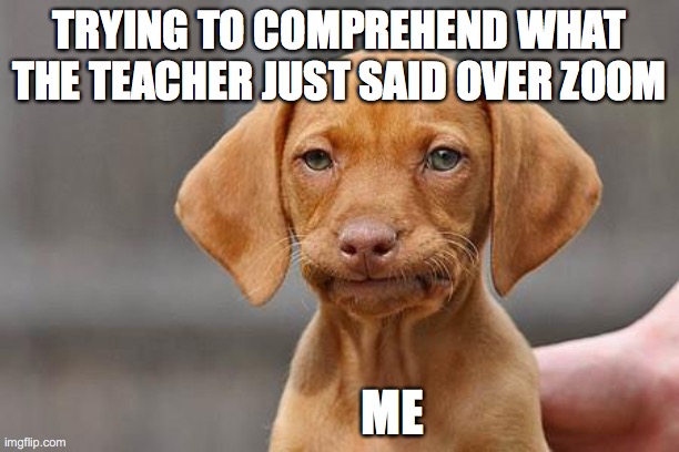 CampbellBrookee's tweet image. This is me in every single one of my zoom classes 
#MCO335 
#DistractedTooEasily