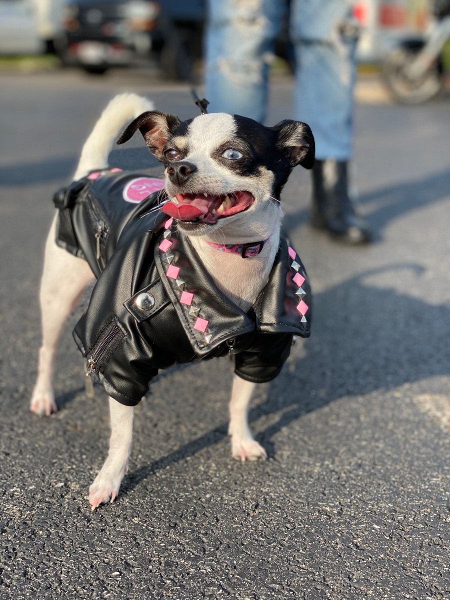 TheCityMission's tweet photo. Thank you to all who participated in Ride with a Mission 2020 yesterday! It was a huge success, with 135 riders (including one four legged friend!) making their way to 5 stops around Cleveland - all to support men, women, and children on their journey to overcoming homelessness! https://t.co/rOJnFYETws