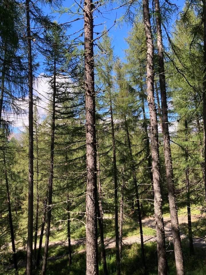marcogregorett1's tweet photo. Un #papà: “Qualcuno ha idea che cosa succeda quando ti #sequestrano di fatto un #figlio e tu non riesci più a vederlo? È come se ti strappassero un pezzo del tuo #corpo” https://t.co/R9p7OxA87y