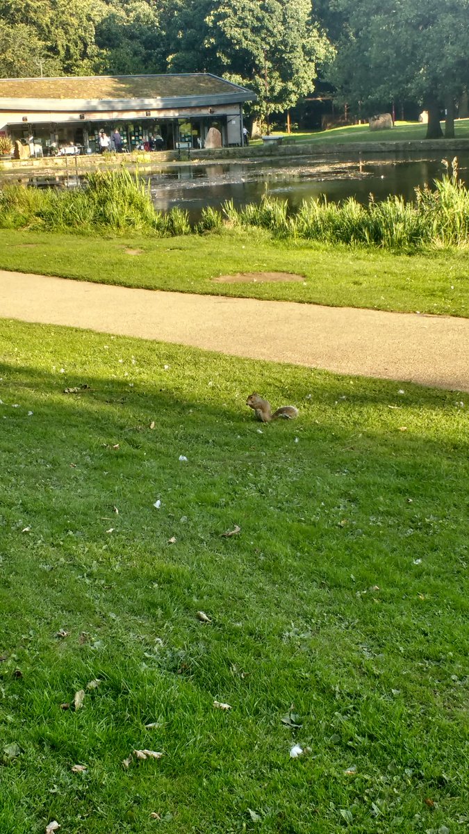 Gary__Bingham's tweet photo. #Great to see #MiddletonRailway @MiddletonRailwa running๐๐ on the way for a quiet evening #walk๐ถin #MiddletonWoods a #FavouriteWalk
Saw a cheeky grey #Squirrel๐ฟunfazed by the screeching swans or passers by!๐ฆ
@LEGO_Group #Lego #IndyAdventures found a nice seat to relax๐ ๐น๐ฃ https://t.co/bRQDc6IDJJ