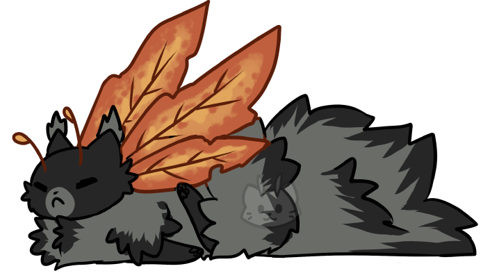 fioramisa's tweet photo. Some #mothkitten breedings I did for @mothcats group. These #adoptables already have owners, but feel free to check out https://t.co/k1Nqopyxeb for more info regarding Mothcats/Mothkittens! https://t.co/Aqi61jStMY