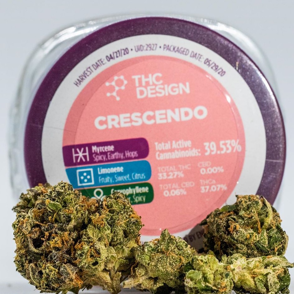 Apothecary_420's tweet image. @_THCDesign
•
CRESCENDO 🔥🔥🔥👌🏽. Hands down on of the best Sativa option in California. Chem Dawg × I-95 × Mandarin Cookies make Crescendo. Happy Sunday!!! Enjoy Football Sunday the right way!! 🔥🔥👌🏽🏈🏈🙌🙌
•
#THCDesign 
#KnowledgeGeneticsQuality 
#Apothecary