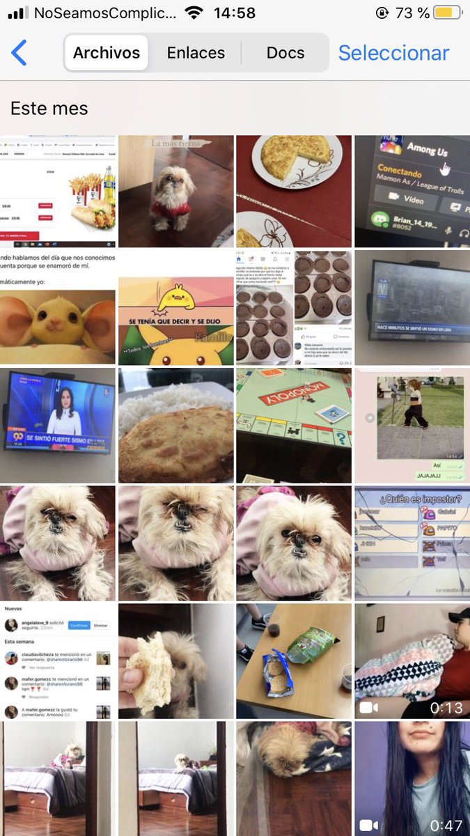 snlznp's tweet photo. Brian tiene mas fotos de mi perro que mías https://t.co/toa35l5Hf6