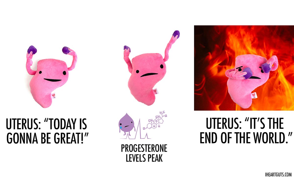 iheartguts's tweet photo. Yep. Thems the feels. #pms #periodprobs #progesterone #obgyn #gynecology #gynecologist https://t.co/NHBzwrUNNa