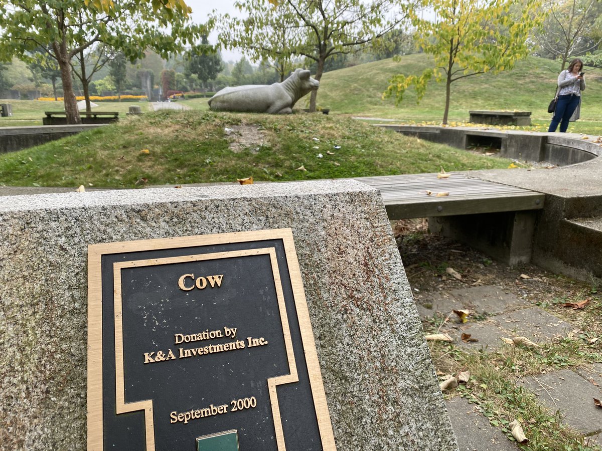 In awe of the lack of explanation or backstory for this statue of a cow in Hastings Park