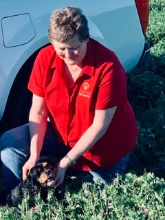 KateKak's tweet photo. Sunday arvo family bonding - cleaning up a few suspect wild oat escapes by had- a stitch in time saves 9 #firsttimefarmers #living the dream https://t.co/iRstp54dru