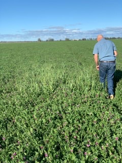 KateKak's tweet photo. Sunday arvo family bonding - cleaning up a few suspect wild oat escapes by had- a stitch in time saves 9 #firsttimefarmers #living the dream https://t.co/iRstp54dru