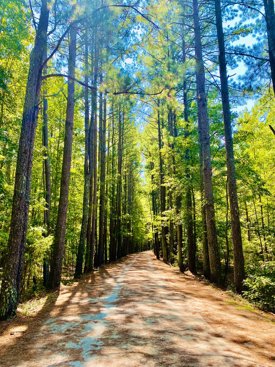 chantelanelson's tweet photo. 75 straight days of running (sometimes walking). If I turn left out of my house, I get the water view (and a Starbucks stop). 😂If I turn right, I get the American tobacco trail! Today I did both #7miles is my favorite #75days #Sharpeningthesaw https://t.co/Yc65PMQ6TM