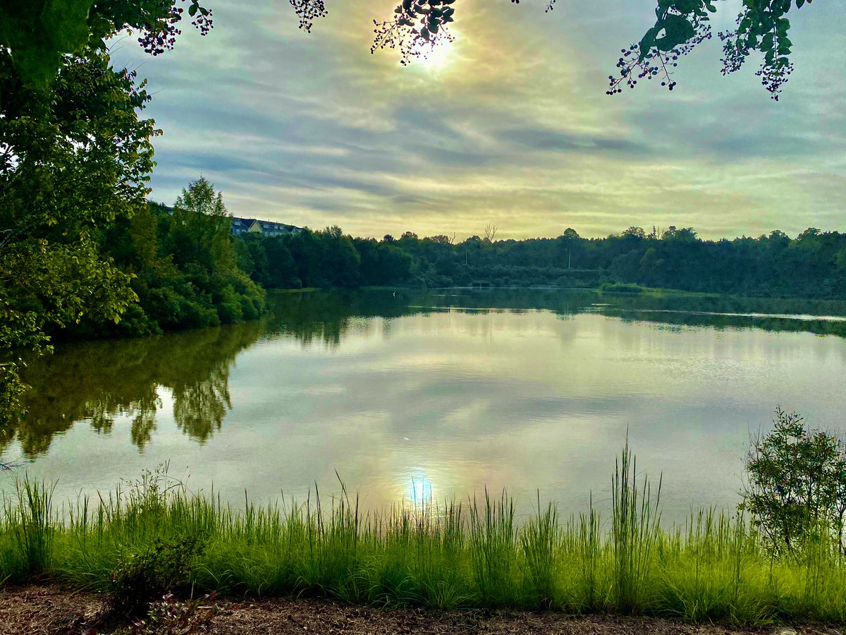 chantelanelson's tweet photo. 75 straight days of running (sometimes walking). If I turn left out of my house, I get the water view (and a Starbucks stop). 😂If I turn right, I get the American tobacco trail! Today I did both #7miles is my favorite #75days #Sharpeningthesaw https://t.co/Yc65PMQ6TM