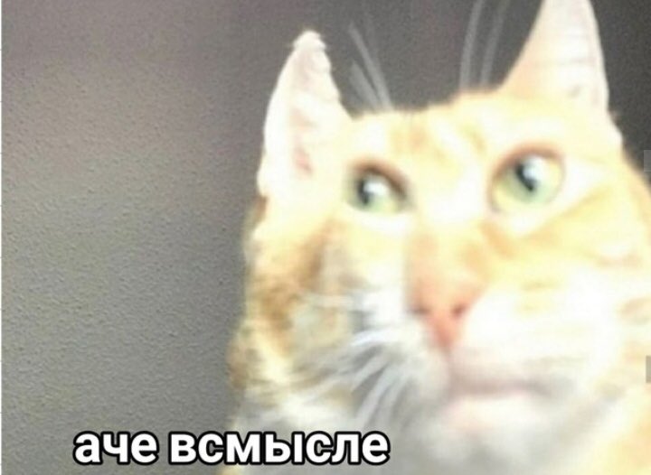Я: *путаю Борецкого с Боярским*
Три муркетёра:
