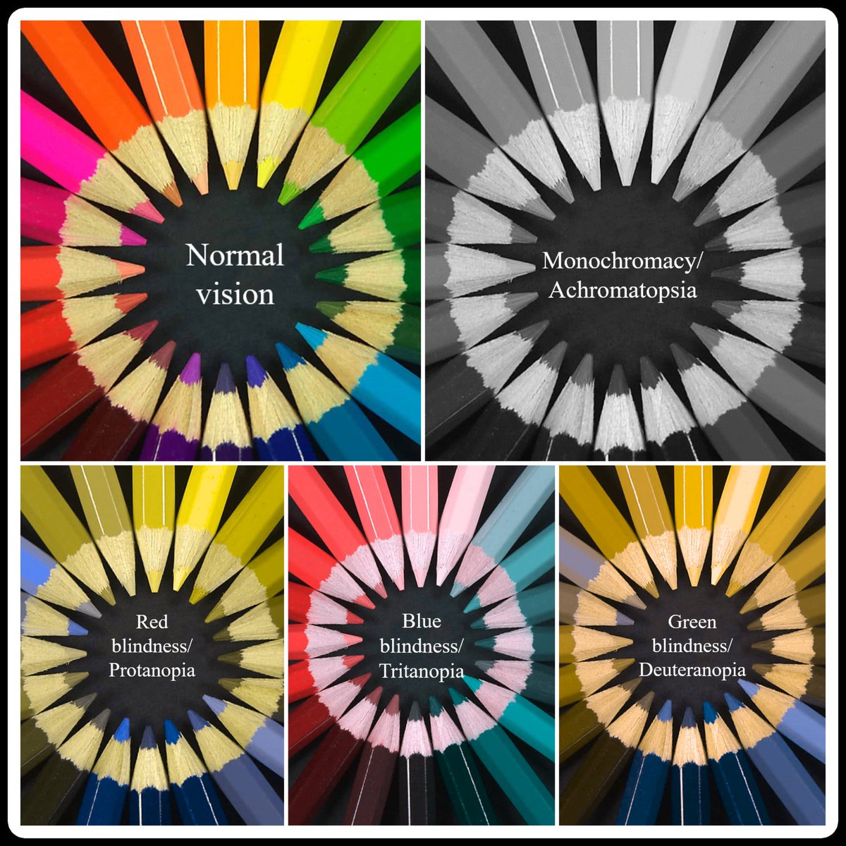 TheSTEMTimes's tweet image. How do we perceive color? Unlike its name, #colorblindness isn't actually a blindness, but a condition where one cannot see a specific #color. @RituparnaSama11 writes more about differences in #vision -&amp;gt; bit.ly/3in2dm9

#ScienceTwitter #scicomm #thestemtimes #STEM