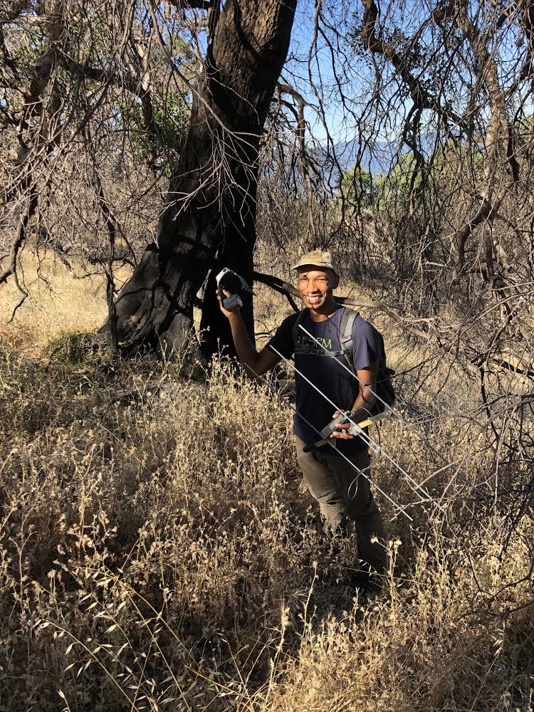“Hi! I’m  @kenleecalhoun, a  #NatGeoExplorer &  @UCBerkeley PhD student at studying the impacts of California  #wildfires on mammal species. I hope this work can help enhance the resilience and the conservation of deer & other wildlife species under California's changing climate.”