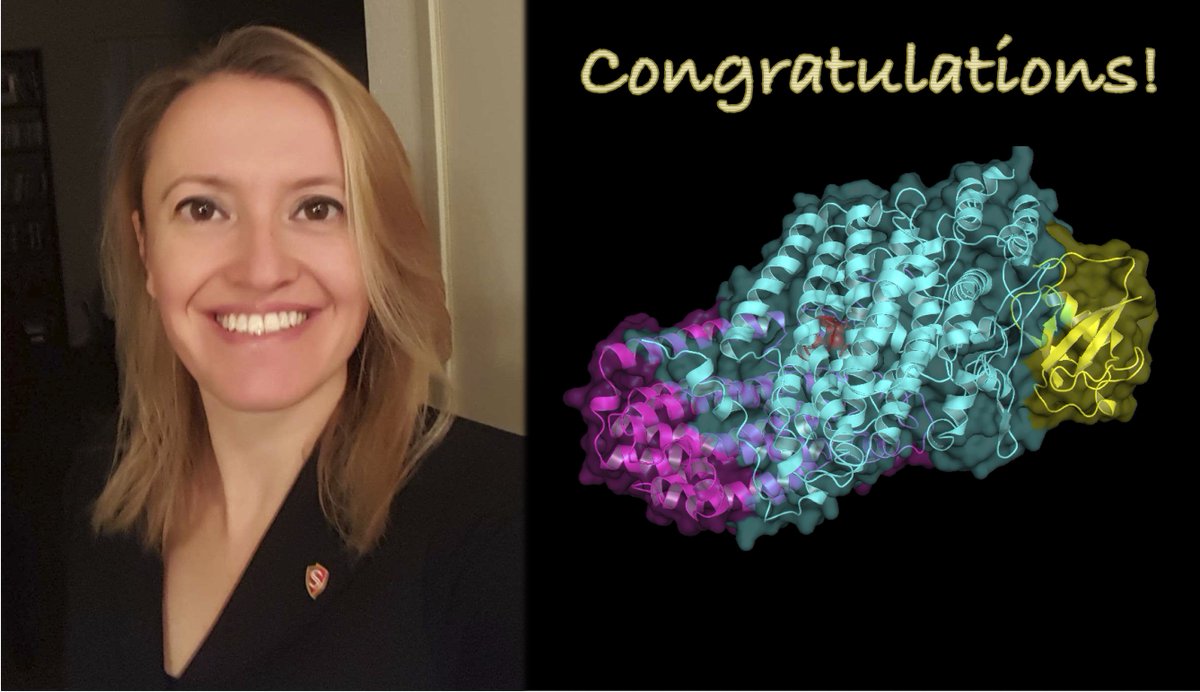 ChemStanState's tweet photo. Dr. Gönül Schara from the Dept. of Chemistry at @stan_state was awarded a four-year NIH SC3 grant to synthesize high-value drug metabolites using native and protein-engineered activities of an oxygenase enzyme for research use in preclinical drug development. Congratulations!👏 https://t.co/XTkydpGq9Y
