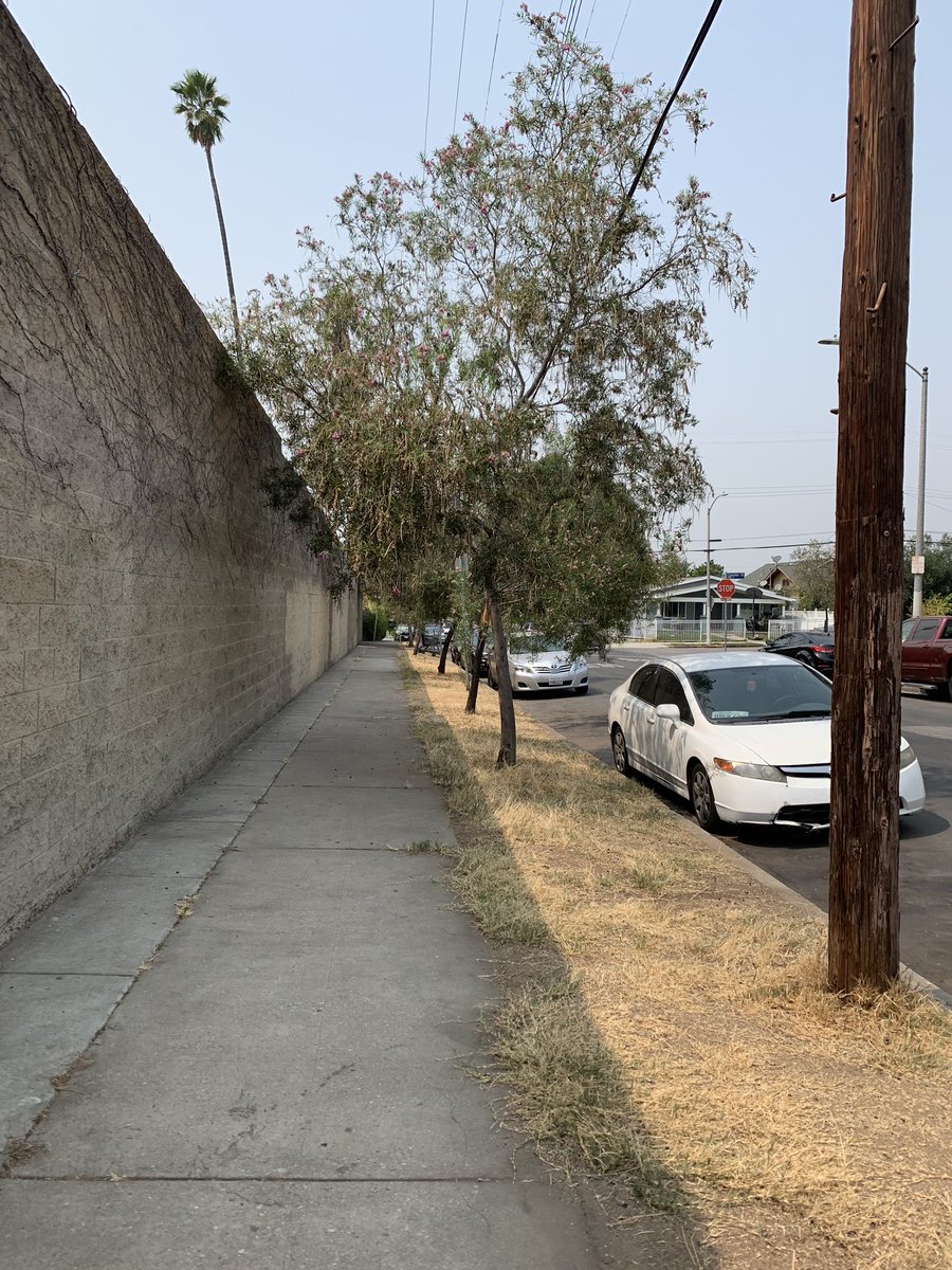 Steven_Almazan_'s tweet photo. This morning, my parents and I participated in a Grassroots Community Clean Up in front of Sunrise Elementary School in #BoyleHeights.

Growing up, my parents taught my brothers and I to love and respect where we come from. That means taking care of our streets and neighborhood. https://t.co/5oQwoNsm2J