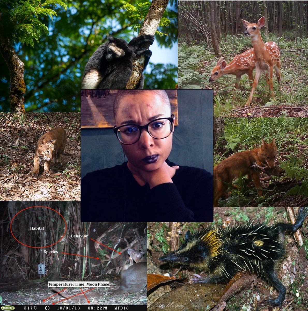“My name's Asia Murphy  @am_anatiala, and I spy on wildlife. I put up trail cameras in forests and learn about how many animals are in an area, what kinds of habitats they like, how they coexist with each other, and what times they're active...all from the pictures I get of them!”
