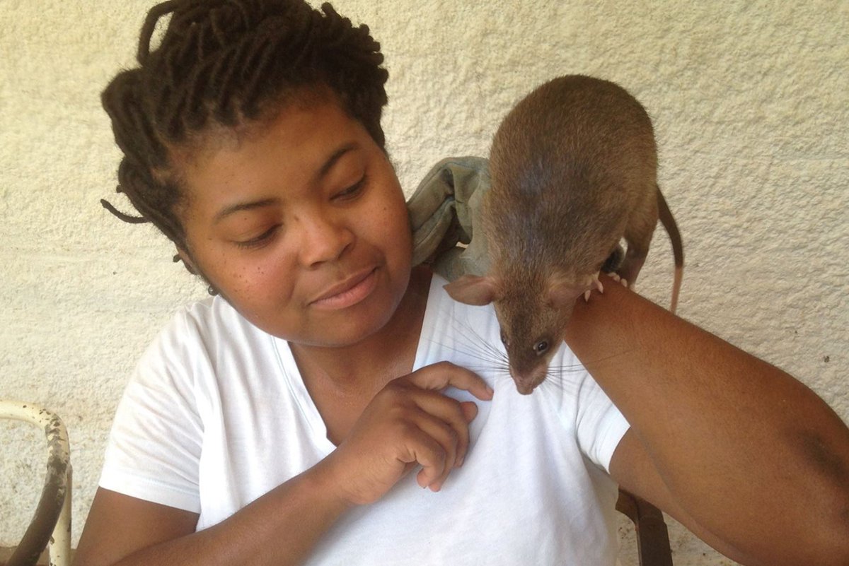 “I’m Dr. Danielle Lee ( @DNLee5), an Asst Prof. of Biology at Southern Illinois U. Edwardsville & a  #NatGeoExplorer. I’m interested in the natural history, ecology, & behavior of nuisance rodents. I use various techniques to study rodents’ behavioral responses to novelty.”