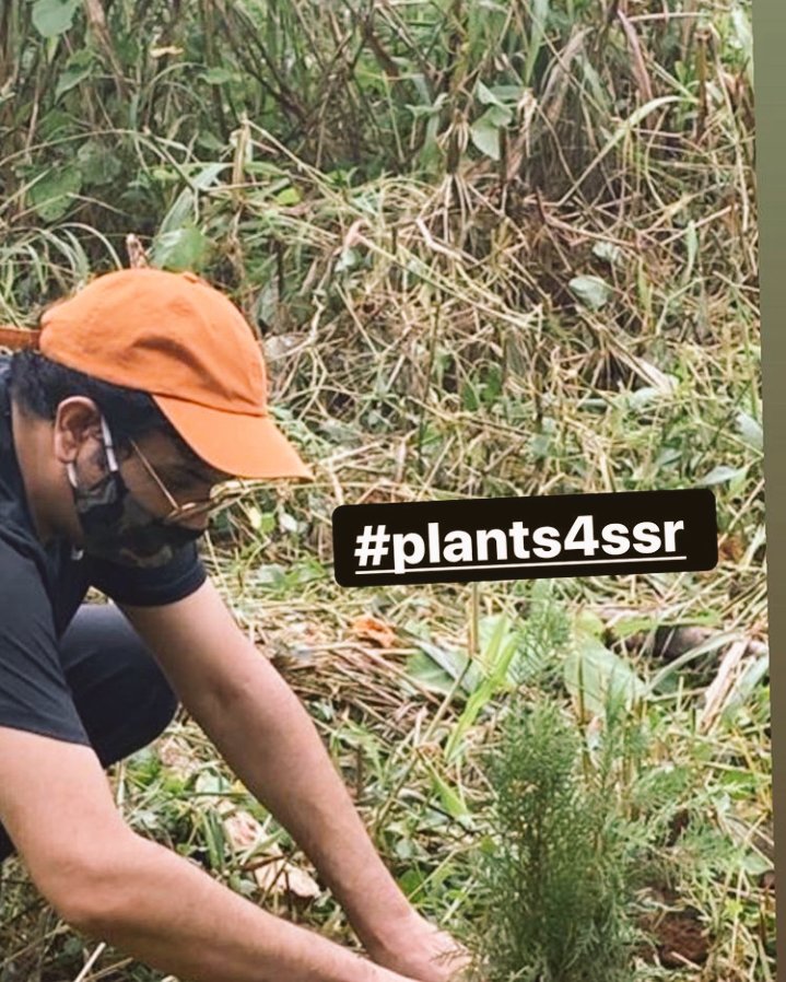 smileykarunasi2's tweet photo. @CastingChhabra It shows that you are a person of true heart ♥ ♥ ♥ ♥ Sir @CastingChhabra Sir Thank you sooooooooooooo much, Thank you very much for supporting this campaign.
#PlantsForSSR 🌱
@shwetasinghkirt dii
@NiloPlua Jee https://t.co/IAd59l93rm