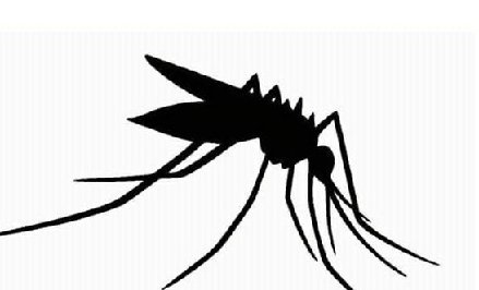 The only female attracted to men 😅 <a href="/mulamwah/">MULAMWAH™</a>