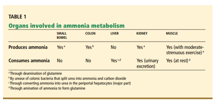 2/ Ammonia is primarily produced by bacteria w/ urease enz in intestines but is also produced in muscle and the kidneys. Table source:  https://www.ccjm.org/content/76/4/252