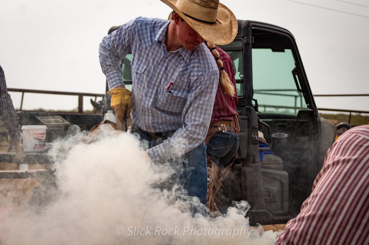 Stampin calves in Garza county 

#fallbranding #texascowboys #westernlifestyle #cowboyphotography #brandingcalves #cinch #wrangler