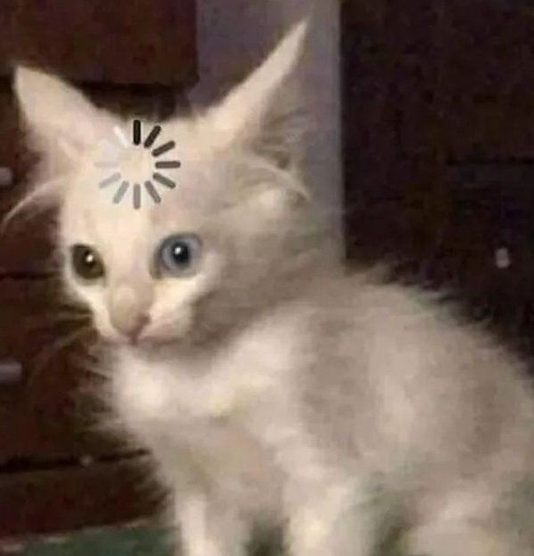 _Mokinho_'s tweet photo. @l3tty_chan A não espera acho que le era um apelido que eu tinha dado pra Hele https://t.co/Rfska5FjbJ