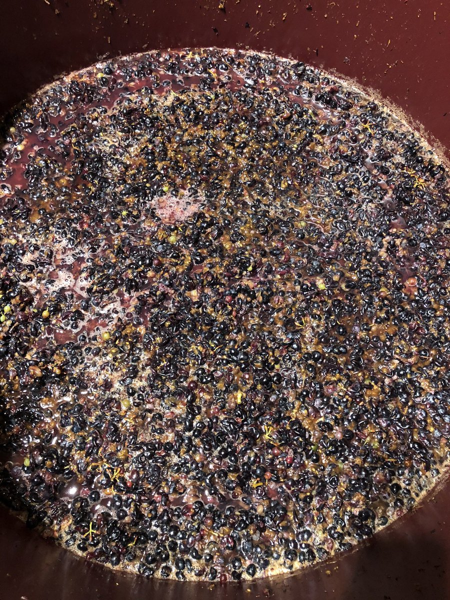 calgalofre's tweet photo. 2020🍇 https://t.co/JNtIhm2r7X