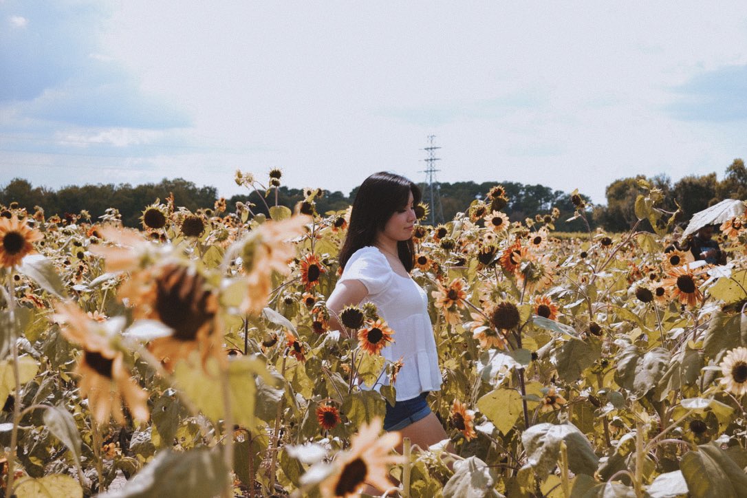 crystavenice's tweet photo. Alexa, play Sunflower by Post Malone &amp; Swae Lee 🌻 https://t.co/UTJwHqCisN