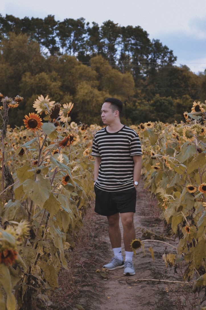 crystavenice's tweet photo. Alexa, play Sunflower by Post Malone &amp; Swae Lee 🌻 https://t.co/UTJwHqCisN