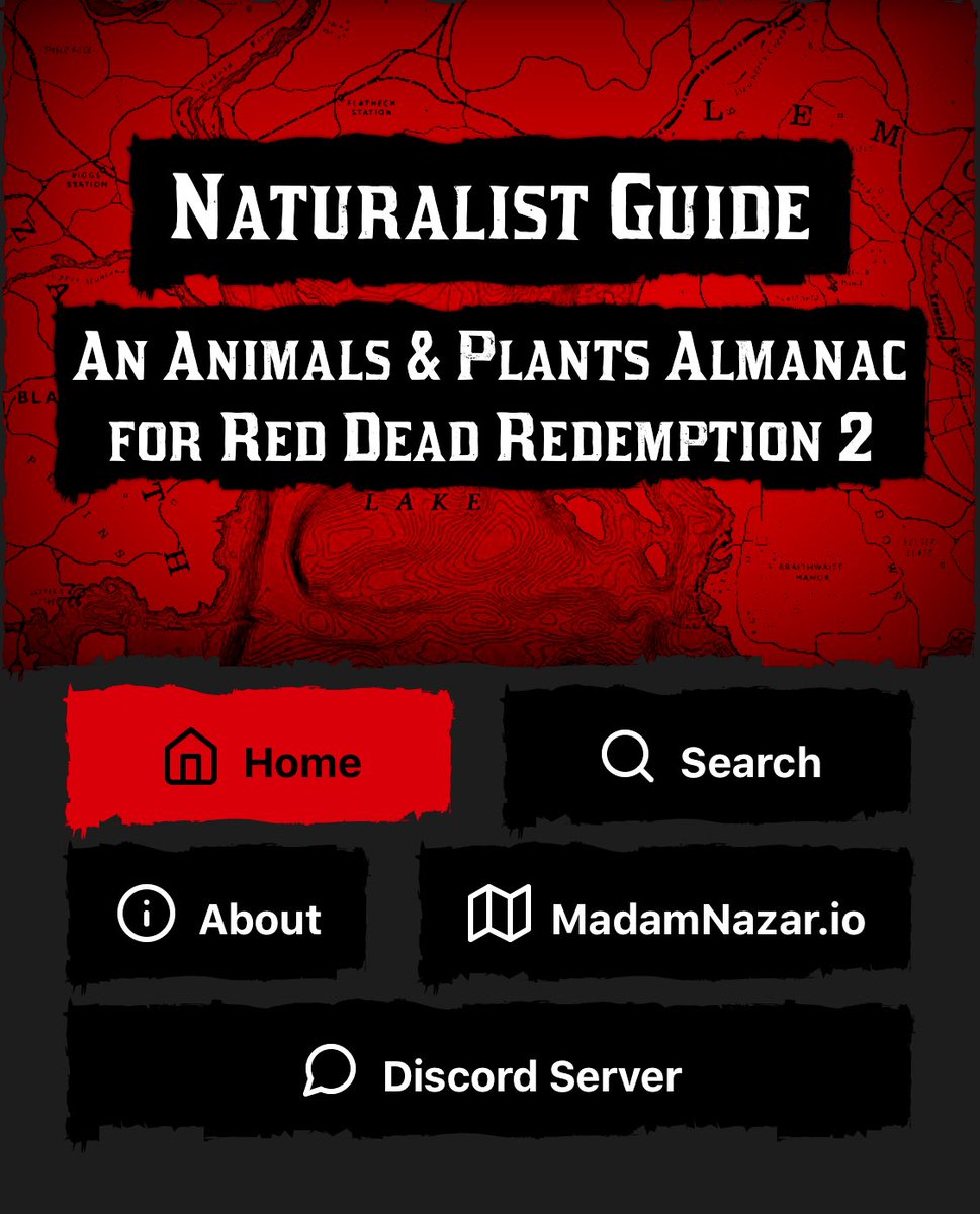 harrietDavnport's tweet photo. We’re almost there, hang on my dear naturalists 🌿
It’s gonna be ready real soon #RDOnline #RDONaturalistGuide #NaturalistGuide #NaturalistAlmanac https://t.co/jXaA7ueOWb