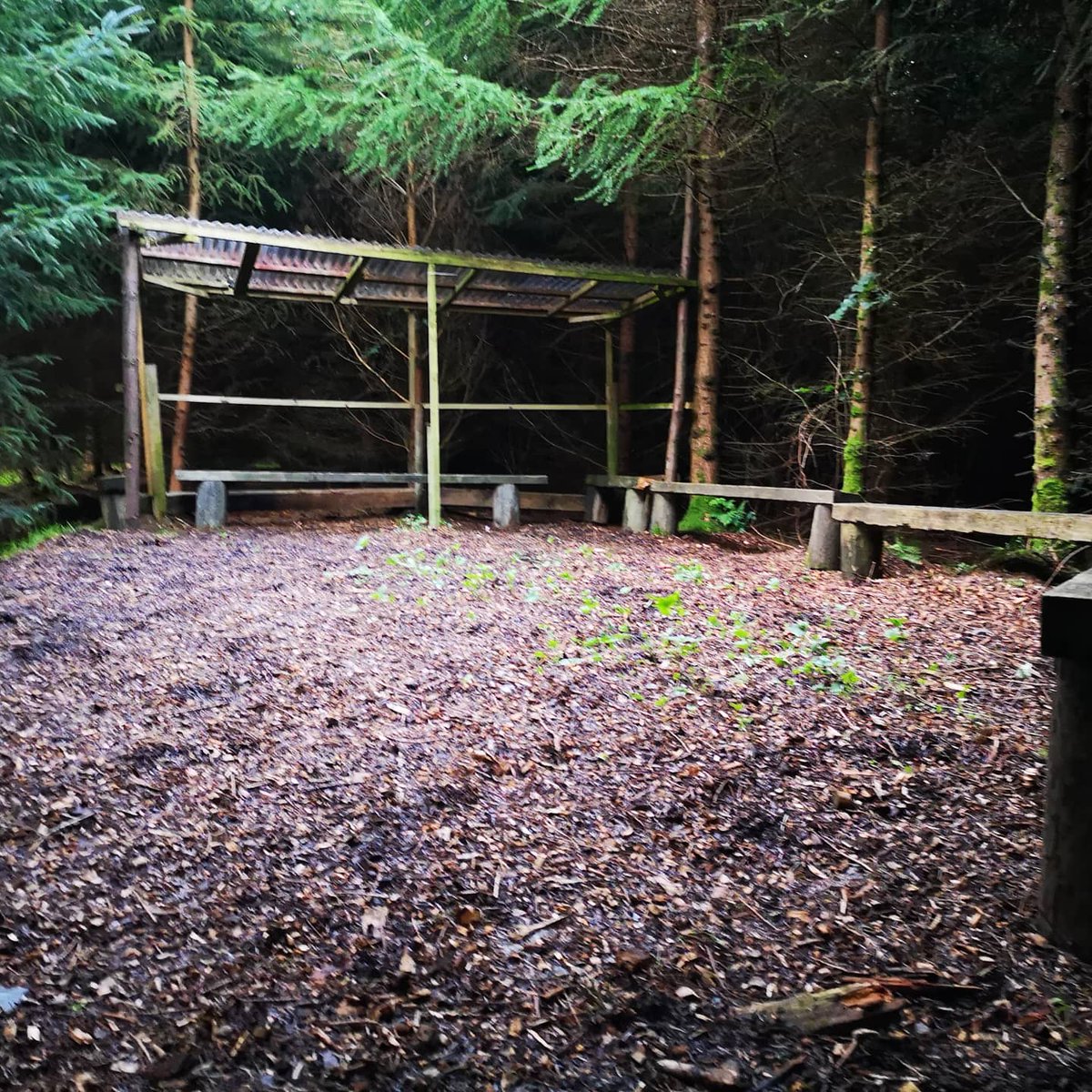 CollonCampsite's tweet photo. We're delighted to be open again and taking bookings at https://t.co/wsyx68IRod

We are available for half-day &amp; day visits plus supervised Patrols camping as well as Troop &amp; Group camping. @ScoutingIreland @SeaScoutIRL1912 https://t.co/VFiYgzl2ll