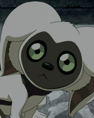 Момо аватар аанг. Момо аанг. Момо аанг. Момо аватар аанг. Момо аанг.