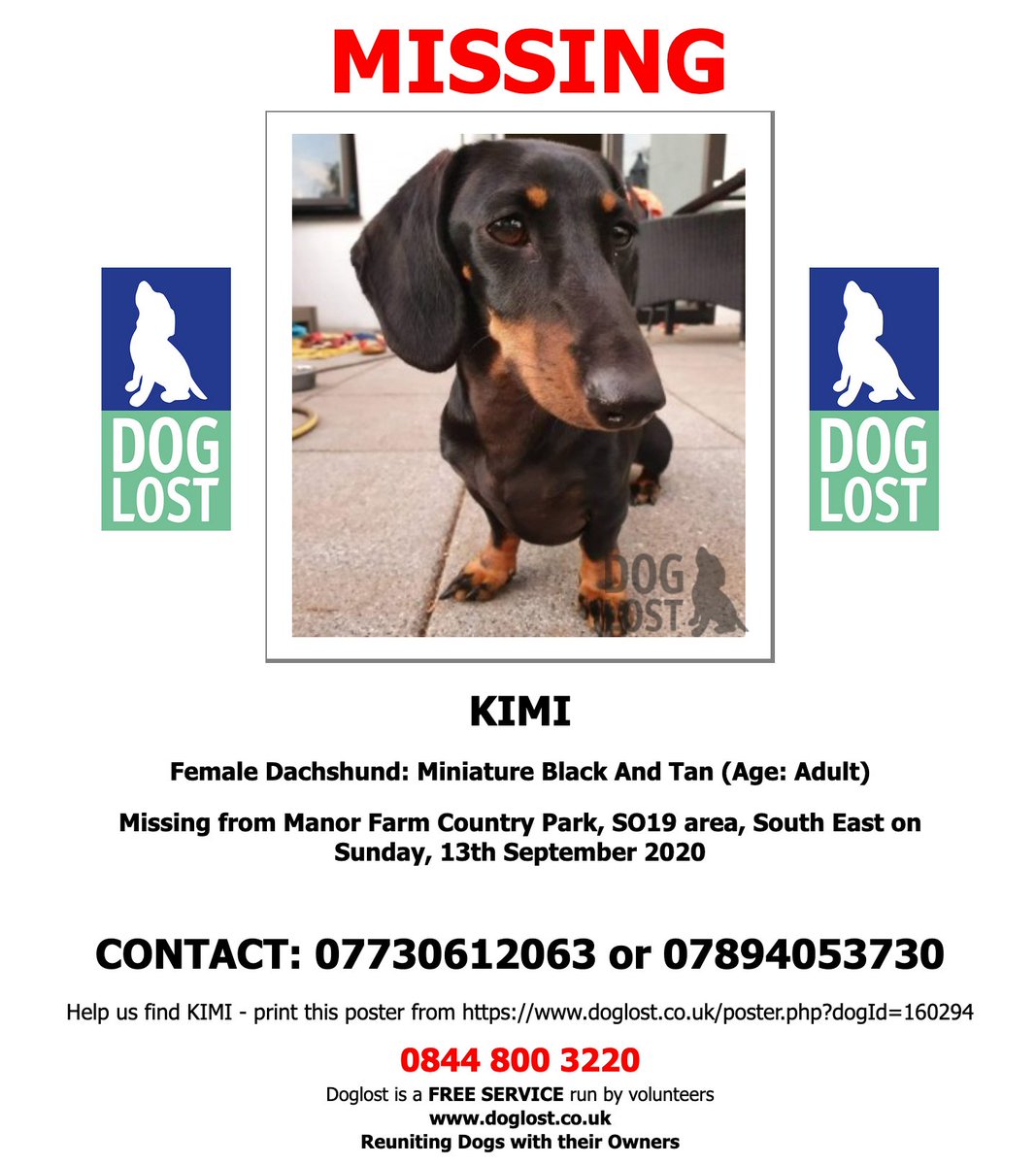 SausageDogHotel's tweet photo. Missing since this morning, Southampton area - chased off by another dog - please share on your social media and if you are within reach of the area I know all help with searching tomorrow will be greatly appreciated - let's get Kimi home 🙏 https://t.co/Z094FoLFvE