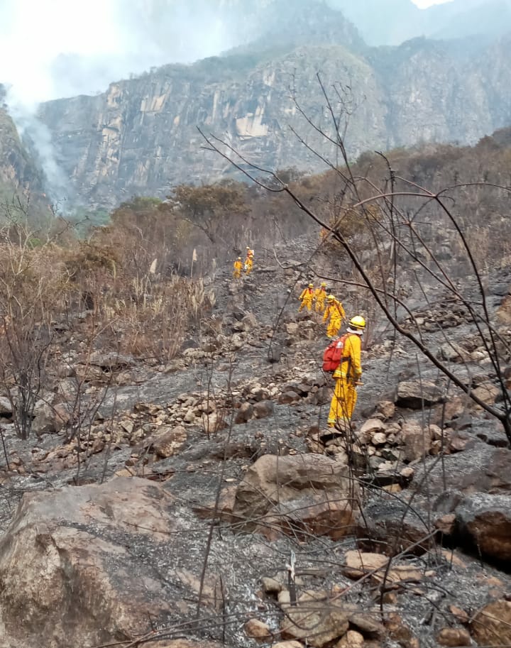 SERNANP's tweet photo. #BuenaNoticia incendio que se producía al interior del Santuario Histórico de Machupicchu ha sido controlado. Personal del #Sernanp @COENPeru @PoliciaPeru @MinCulturaPe se encuentra realizando labores de liquidación y monitoreo en el lugar. https://t.co/uHZG8fJP14